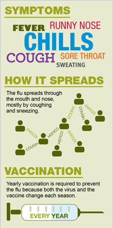 flu chart