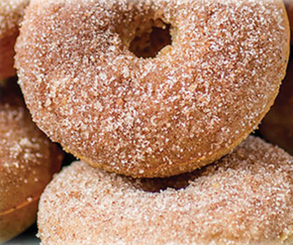 Apple Cider Donuts
