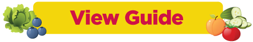 View Guide