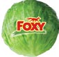 Picture of Iceberg Lettuce